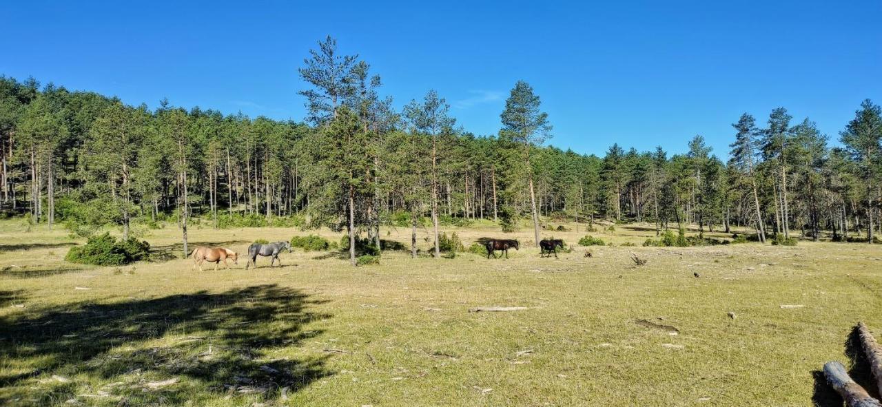 Alojamiento Rural Los Gancheros Трагасете Екстериор снимка