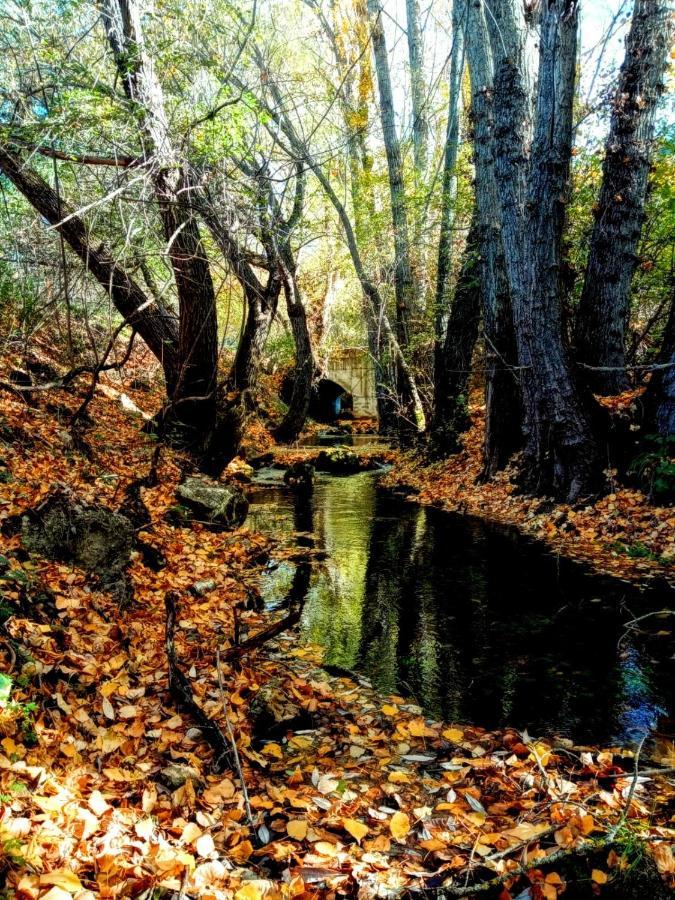 Alojamiento Rural Los Gancheros Трагасете Екстериор снимка
