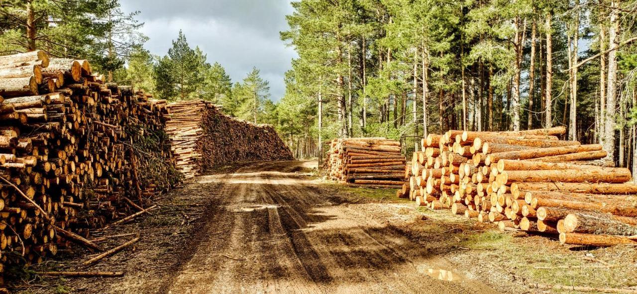 Alojamiento Rural Los Gancheros Трагасете Екстериор снимка