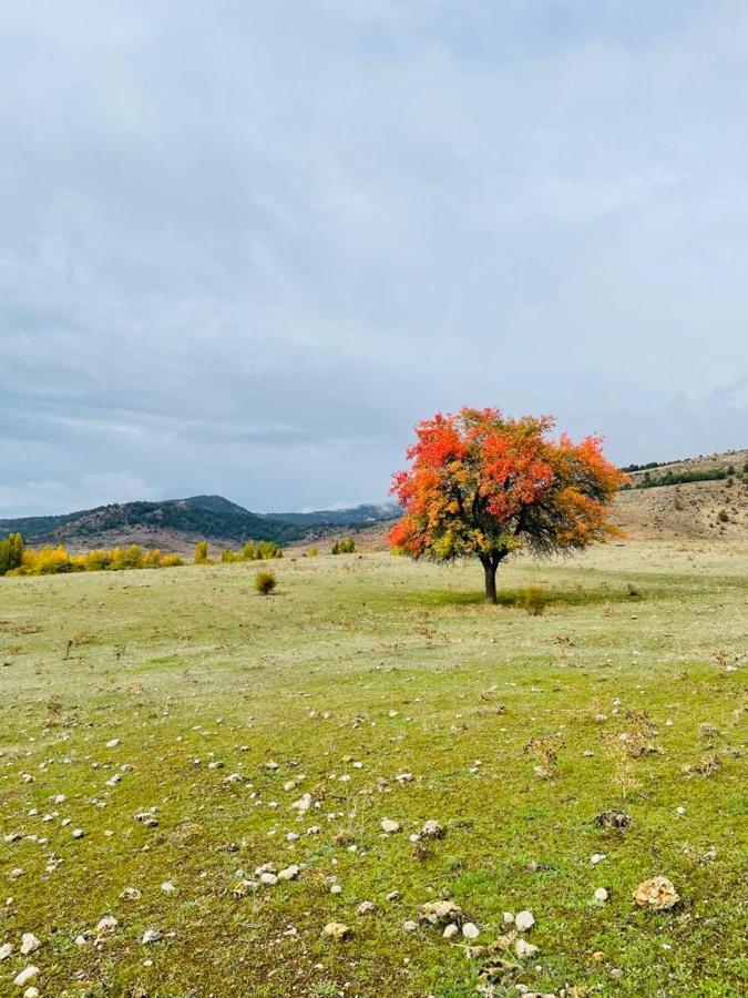 Alojamiento Rural Los Gancheros Трагасете Екстериор снимка
