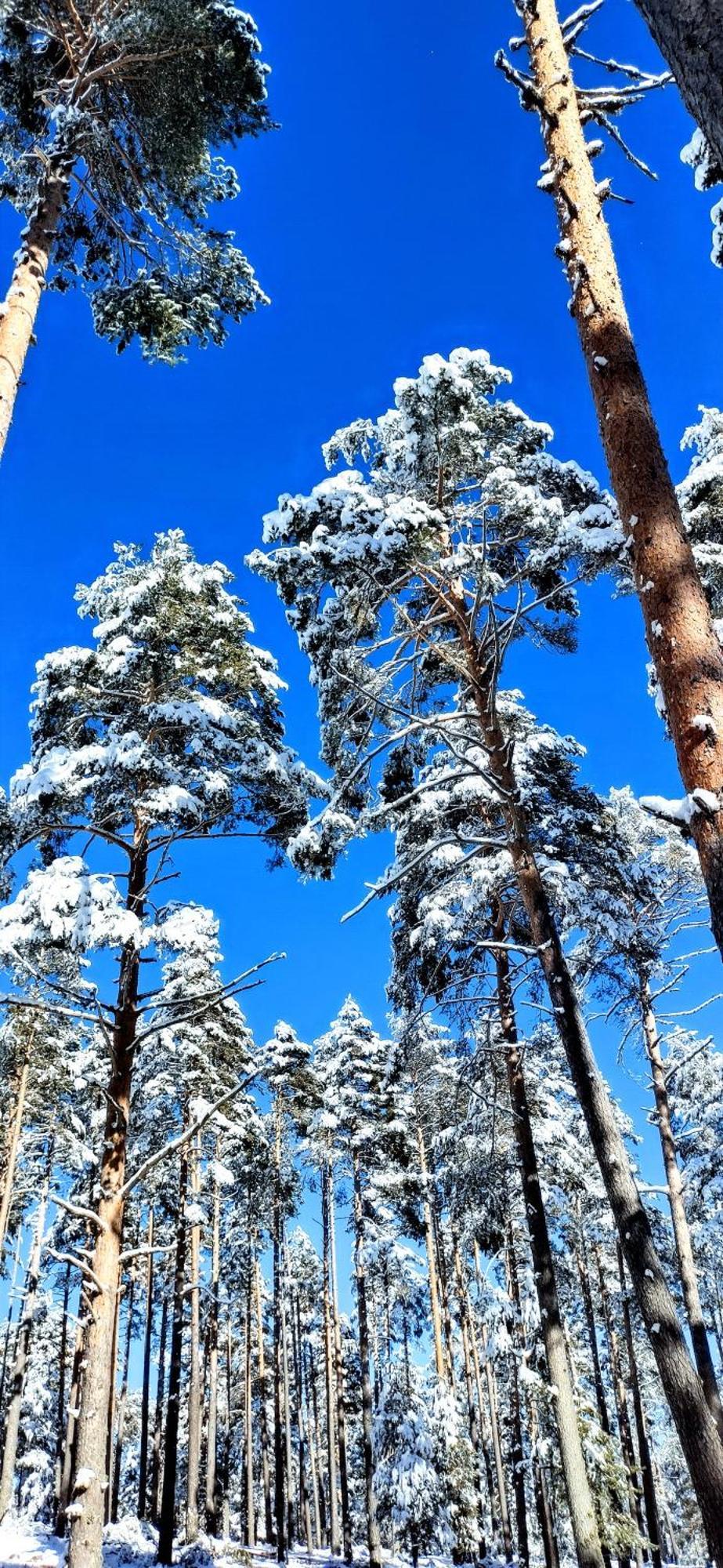 Alojamiento Rural Los Gancheros Трагасете Екстериор снимка