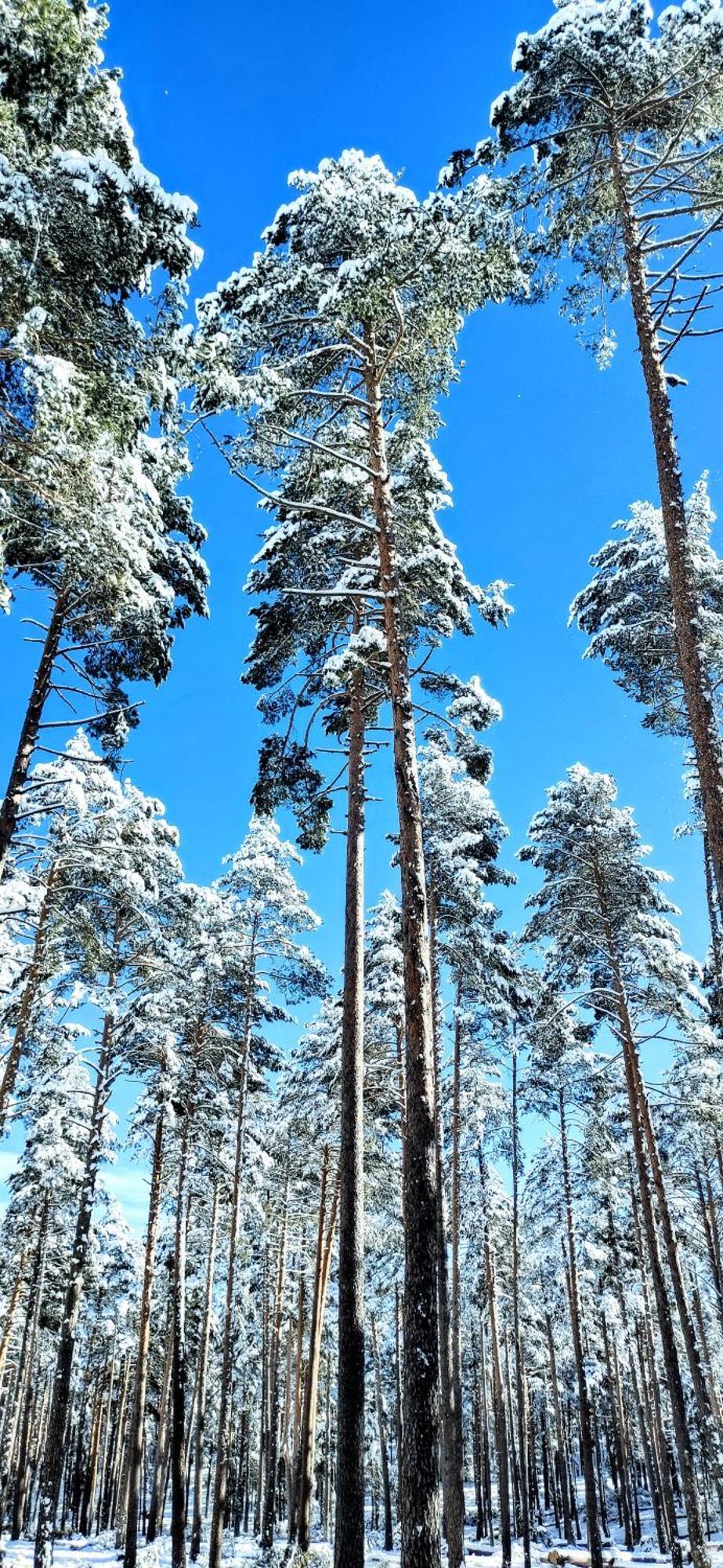 Alojamiento Rural Los Gancheros Трагасете Екстериор снимка